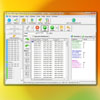 P2P File Sharing